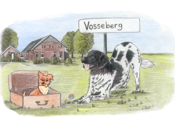 kopie_van_vosseberg-pup
